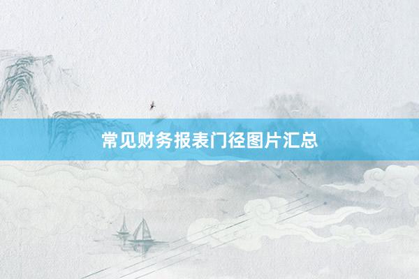 常见财务报表门径图片汇总